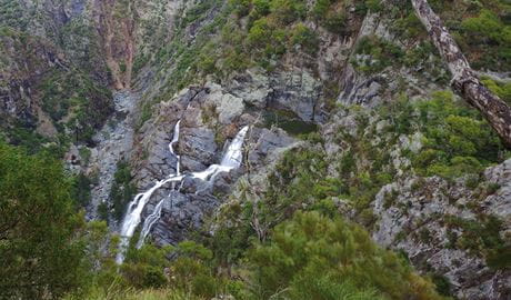 View of several cascades of water plunging into a deep gorge in a rugged bushland setting. Photo credit: Rob Cleary &copy; DPIE