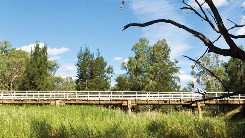 Bridge in Pilliga National Park. Photo &copy; Rob Cleary