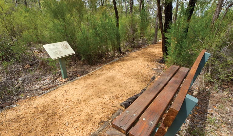Bench and sign on the Sandstone Caves walking track. Photo &copy; Rob Cleary