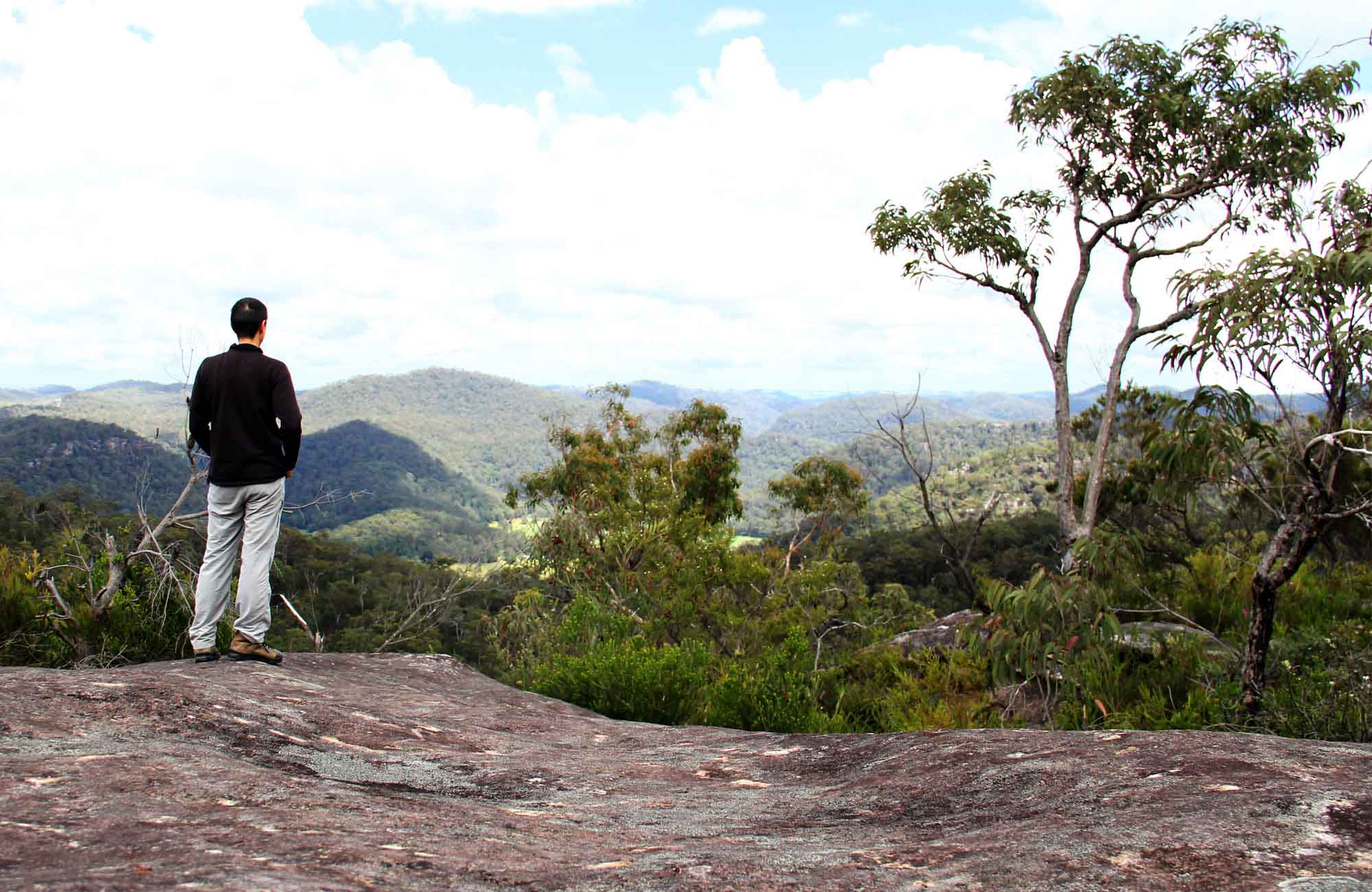 Popran National Park NSW National Parks Popran National Park NSW National Parks