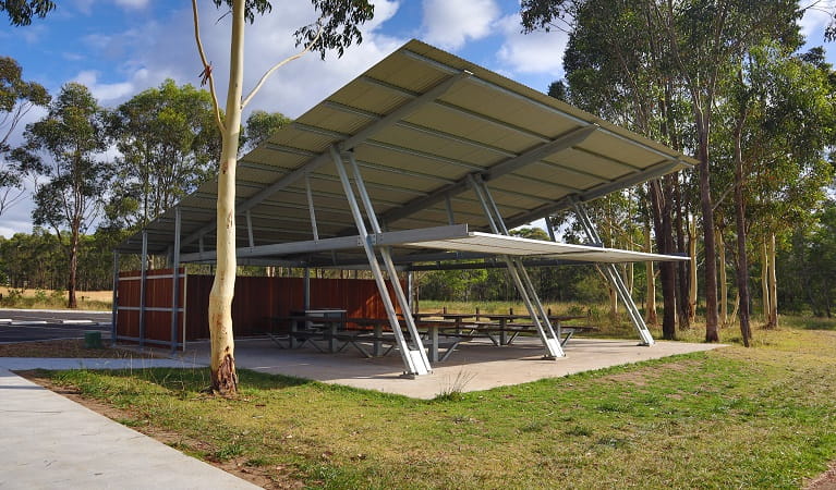 Moluccana Pavilion set amongst towering trees, Rouse Hill Regional Park. Photo: David Bush &copy; DPE