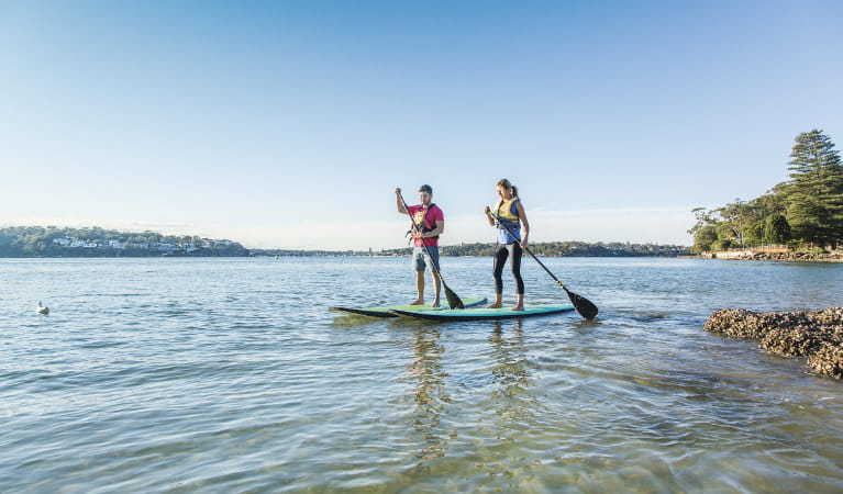 Two people stand-up paddle boarding in Cabbage Tree Basin, next to Bonnie Vale picnic area in Royal National Park. Photo: Simone Cottrell/OEH