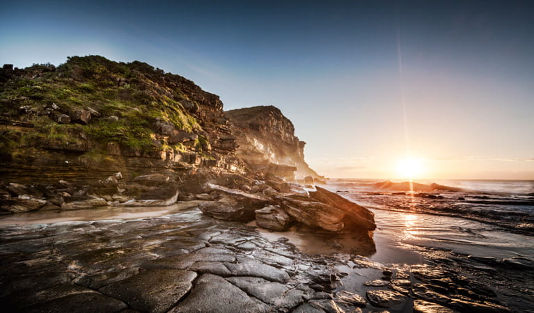 Garie Beach, Royal National Park. Photo: David Finnegan/NSW Government