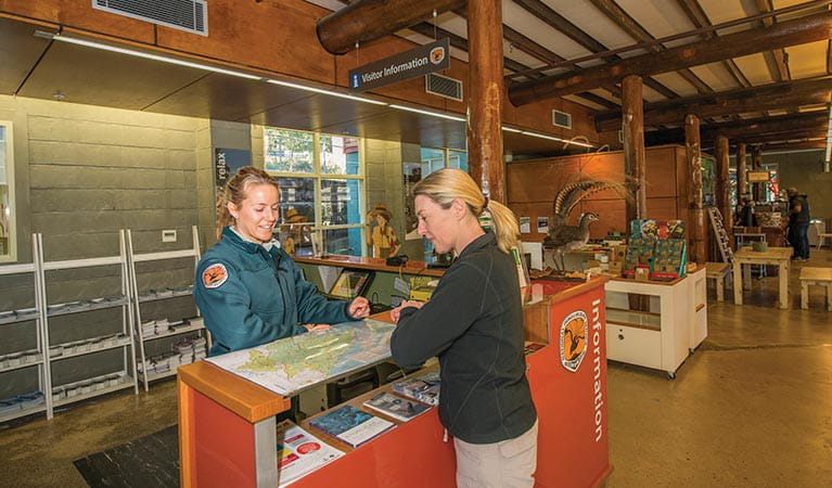 An NPWS staff member and a visitor looking at a map in Royal National Park Visitor Centre, Royal National Park. Photo: John Spencer &copy; DPIE