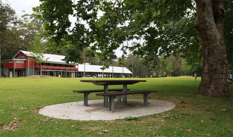 A picnic table under a tree outside Royal National Park Visitor Centre, Royal National Park. Photo &copy; Andy Richards