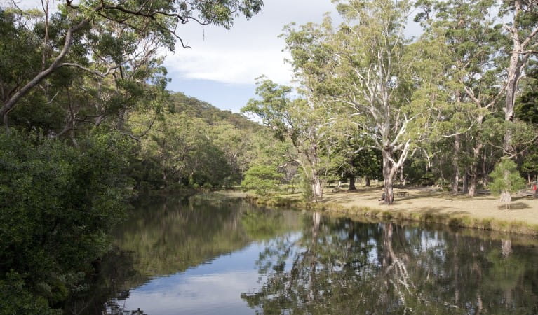 The Hacking River at Currawong Flat picnic area in Royal National Park. Photo: Nick Cubbin &copy; OEH