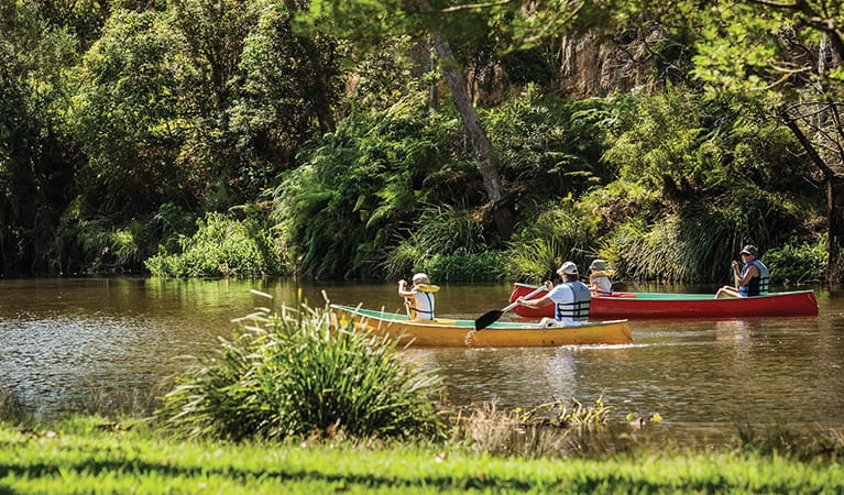 Family canoeing near Audley in Royal National Park: David Finnegan/OEH