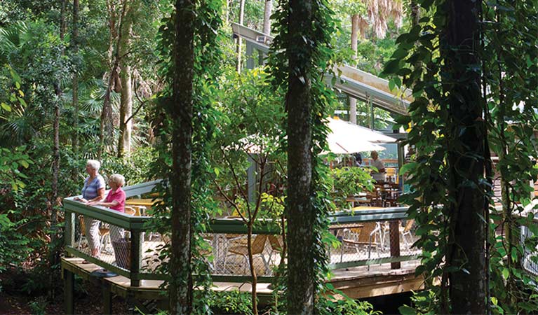 Rainforest Cafes at Sea Acres National Park. Photo: Rob Cleary