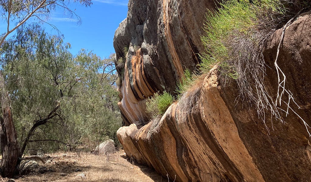 A close up of the Snake Rock in Snake Rock Aboriginal area, a site that is culturally significant to Wiradjuri People. Credit: Wayne Miller &copy; DPE