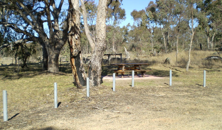 Stonewoman Aboriginal Area. Photo: NSW Government