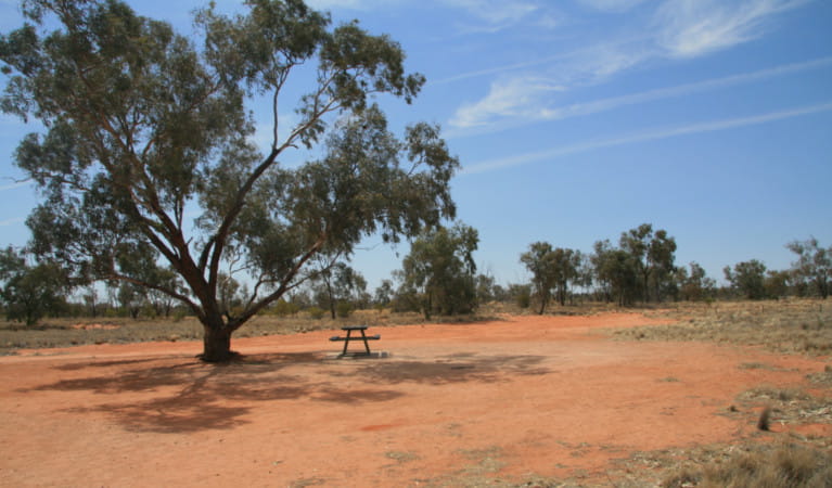 Picnic table at Fort Grey campground, Sturt National Park. Photo: John Spencer, OEH