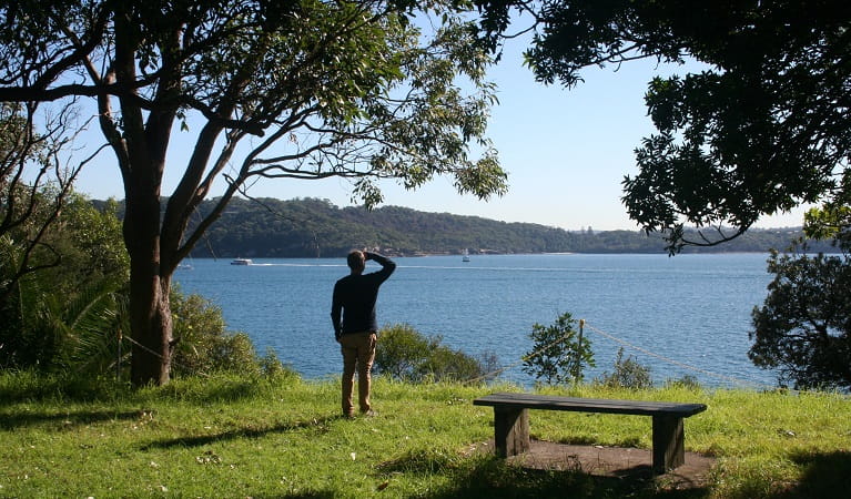 Taking in the view from Bottle and Glass Point, Sydney Harbour National Park. Photo: Natasha Webb/OEH