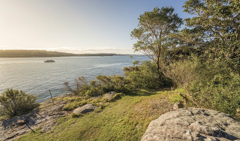 Views over Vaucluse Bay from Bottle and Glass Point, Sydney Harbour National Park. Photo: John Spencer/OEH