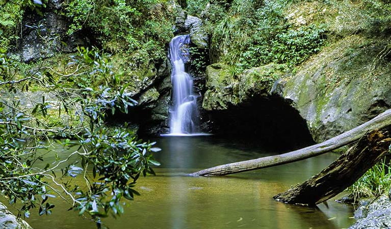 Potoroo Falls, Tapin Tops National Park. Photo: S.Calvin/NSW Government