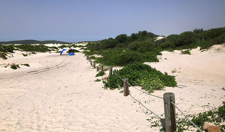 View of sand dunes and dune vegetation alongside a track, with a tent and people in the distance.  Photo: Jim Cutler &copy; DPIE