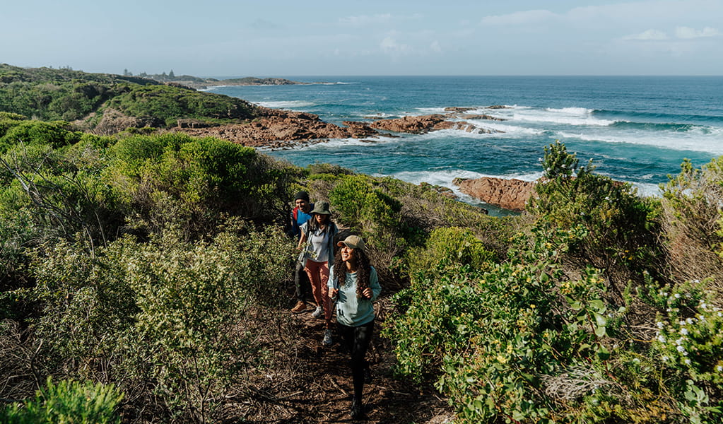  Three hikers on Tomaree Coastal Walk surrounded by coastal heathland and oceans views. Credit: Remy Brand &copy; Remy Brand