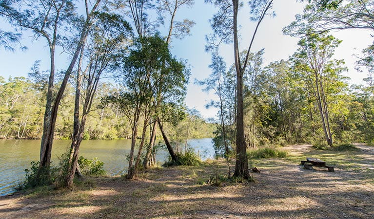 Ferny Creek campground, Wallingat National Park. Photo: John Spencer/NSW Government