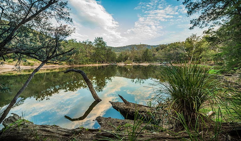 Gum Hole campground and picnic area reflection, Warrabah National Park. Photo: David Young