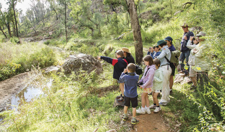 Kids birdwatching on a guided tour along Burbie Canyon walking track in Warrumbungle National Park. Photo: Simone Cottrell &copy; OEH and photographer