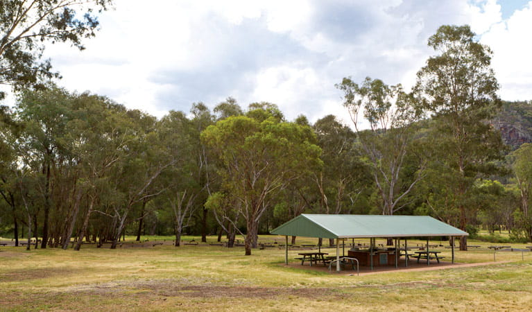 Barbecue facilities at Camp Blackman, Warrumbungle National Park. Photo: Rob Cleary/DPIE