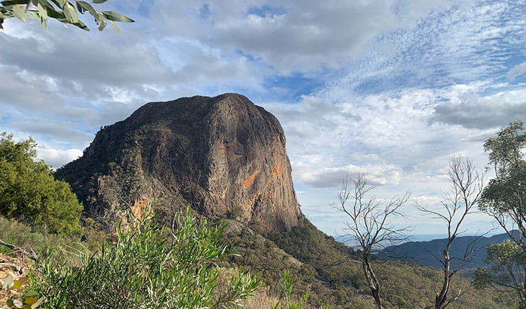 View of Bluff Mountain set in bushland on a partly cloudy day. Photo: Eveline Chan &copy; Eveline Chan
