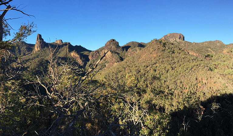 View past trees and scrub to peaks, domes and spires in Warrumbungle National Park. Photo: May Fleming &copy; May Fleming