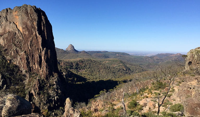 View of massive cliff face, ridges, and mountains clad in forest in Warrumbungle National Park. Photo: May Fleming &copy; DPIE