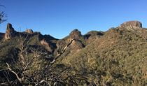 View of volcanic landscape cloaked in woodland in Warrumbungle National Park. Photo: May Fleming &copy; DPIE