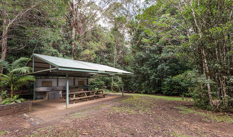 Bellbird campground with picnic shelter in Washpool National Park. Photo: Robert Cleary &copy; DPIE