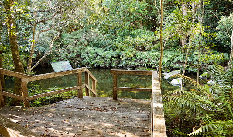 The stairs and informative signage at Coachwood swimming hole in Washpool National Park. Photo: Leah Pippos &copy; DPIE