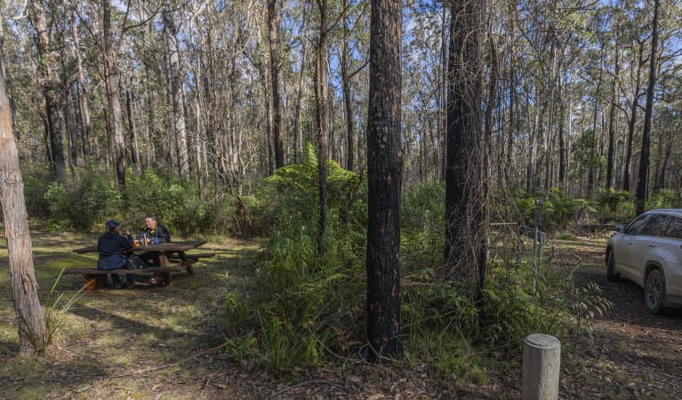 A couple sitting at a picnic table at Cobcroft picnic area, from where Carabeen walk begins. Photo: Josh Smith &copy; DPE