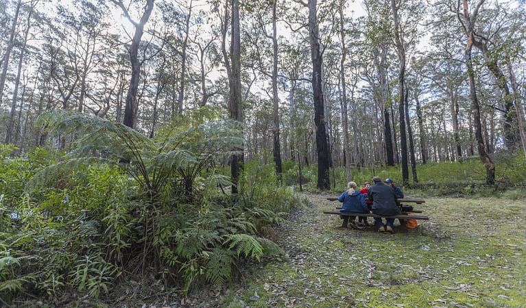 Visitors sitting at the picnic tables at Cobcroft picnic area. Photo: Josh Smith © DPE