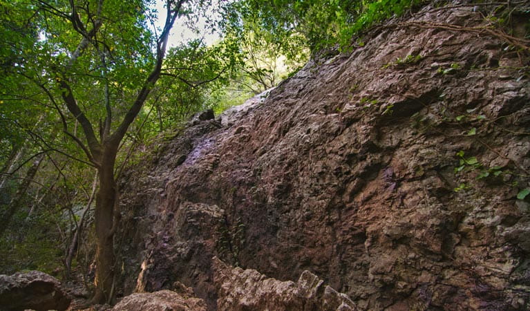 Cliff Face track, Woko National Park. Photo: John Spencer &copy; OEH