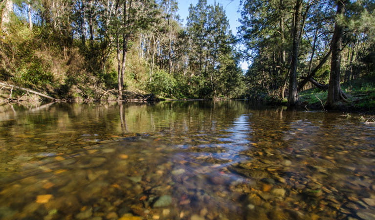 Little Manning River, Woko National Park. Photo: John Spencer/NSW Government