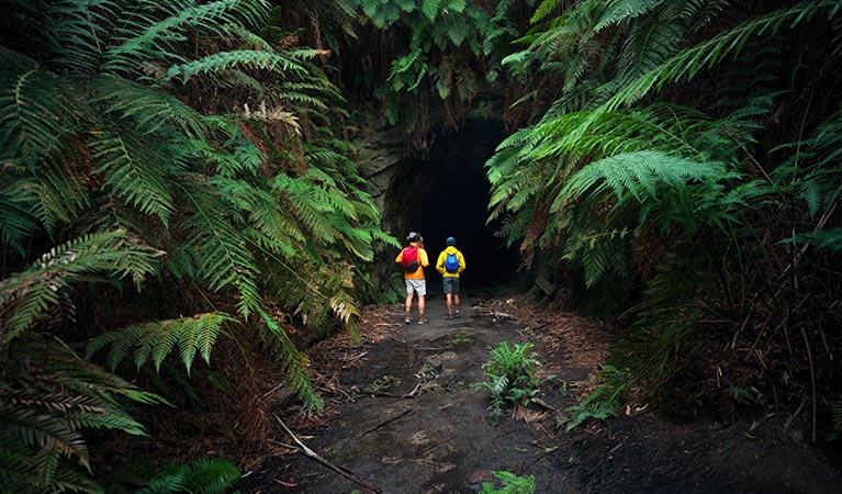 worm play tunnel