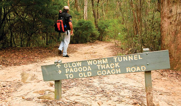 A walker passes signage along Glow Worm Tunnel walking track, Wollemi National Park. Photo &copy; Rosie Nicolai