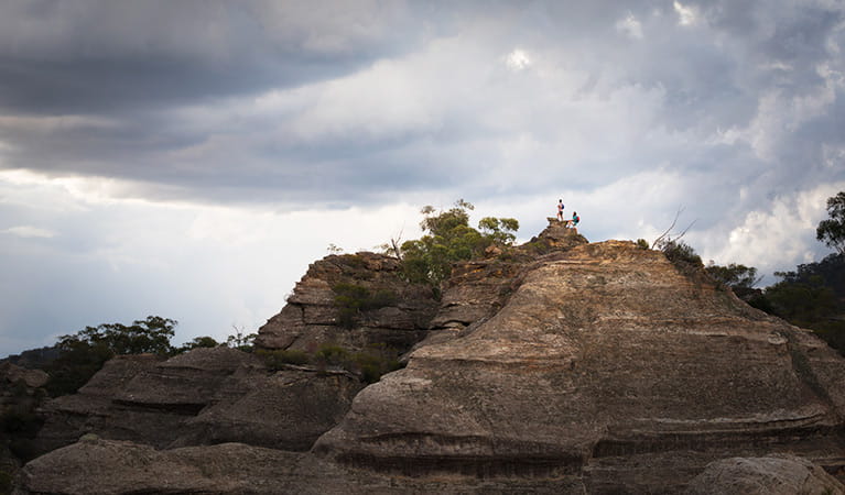 People standing at the top of Pagoda Lookout, Wollemi National Park. Photo: Michael Sharp
