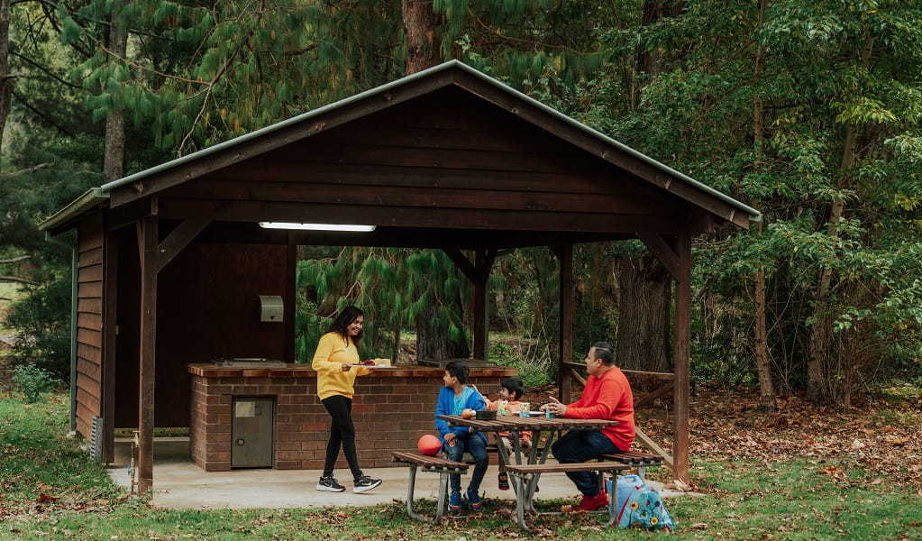 A mother brings dinner to her 2 young sons and husband from the barbecue area at Wombeyan Caves cabins. Credit: Remy Brand/DPE &copy; Remy Brand