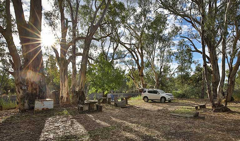 A car and wooden picnic tables at Woolpress Bend campground, Yanga National Park. Photo: Vision House Photography/OEH