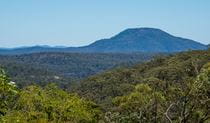 Finchley campground, Yengo National Park. Photo: John Spencer/NSW Government