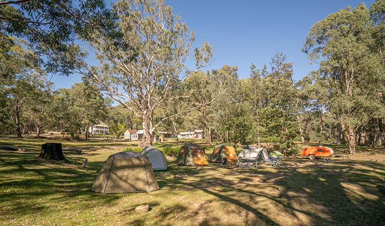 A row of tents at Private Town campground in Yerranderie Private Town, Yerranderie Regional Park. Photo: John Spencer/OEH