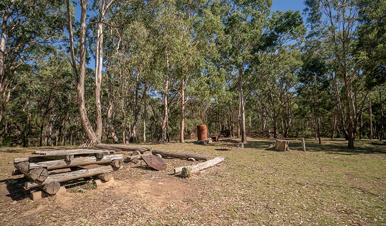 A fire pit surrounded by bushland at Private Town campground in Yerranderie Regional Park. Photo: John Spencer/OEH