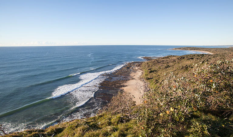 Angourie to Brooms Head walking track, Yuraygir National Park. Photo: Rob Cleary &copy; OEH
