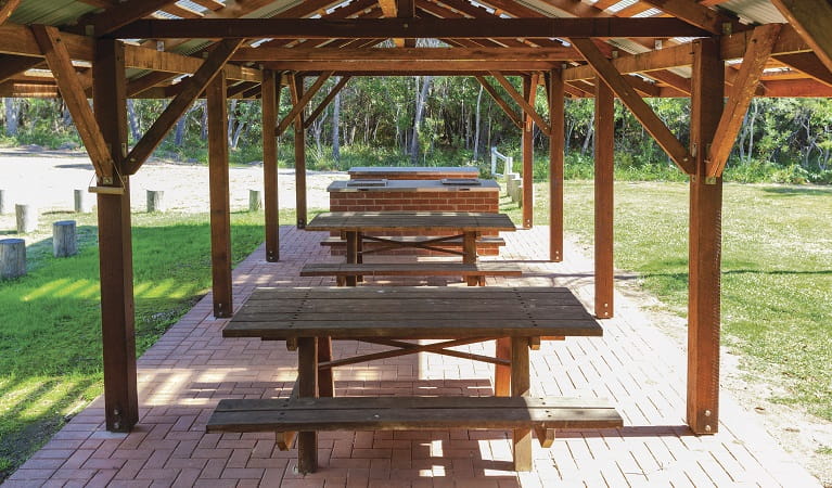 Picnic tables, Illaroo Group camping area, Yuraygir National Park. Photo: R Cleary Seen Australia/OEH