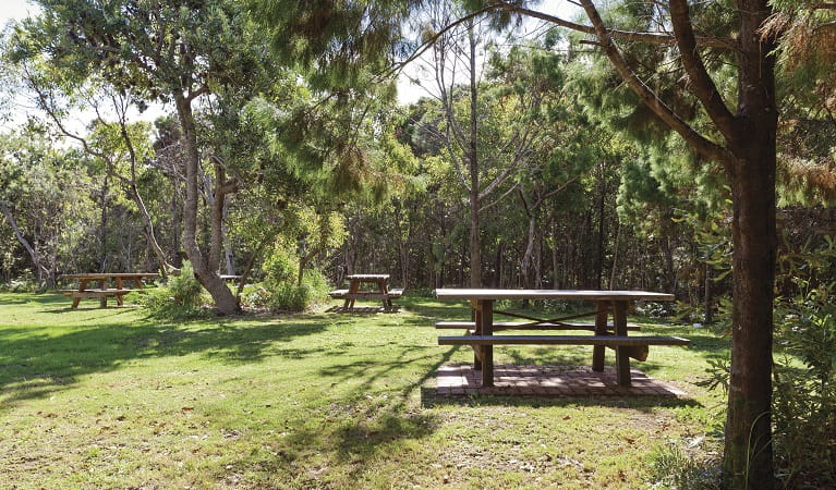 Picnic facilities at Illaroo group camping area, Yuraygir National Park. Photo: R Cleary Seen Australia/OEH
