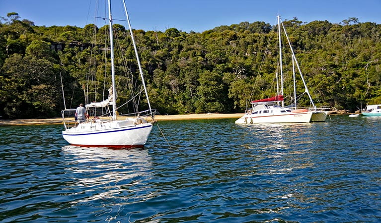 Boats moored near Store Beach in Sydney Harbour National Park. Photo: Kevin McGrath/DPIE