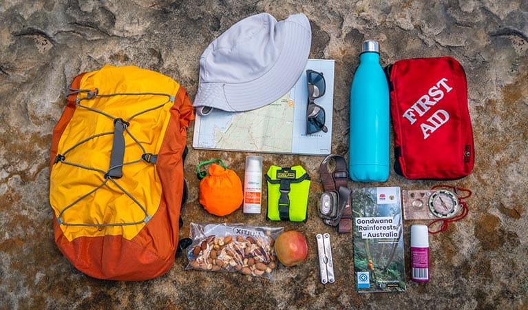 Flat lay of some basic items to pack in your backpack on a bushwalk. Photo: John Spencer/DPIE