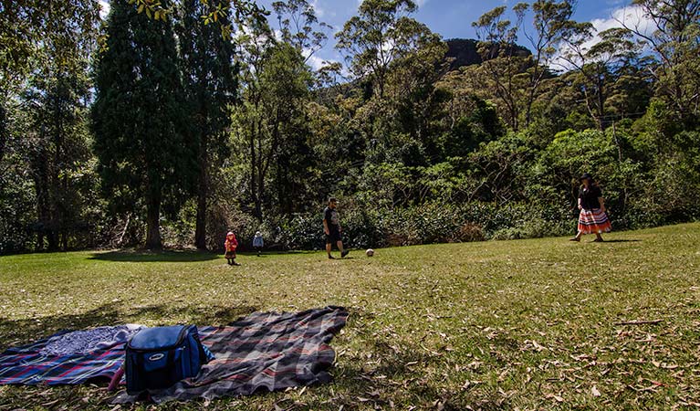 A family on the grass at Byarong Park, Illawarra Escarpment State Conservation Area. Photo: John Spencer