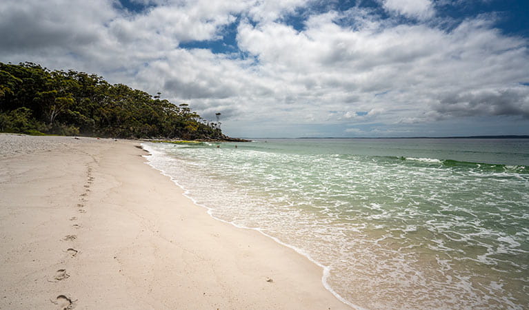 The white sands and clear waters of Greenfield Beach in Jervis Bay National Park. Photo: John Spencer &copy; DPIE