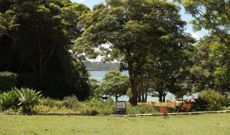 The view of the ocean through trees at Greycliffe Gardens in Sydney Harbour National Park. Photo: John Yurasek &copy; OEH